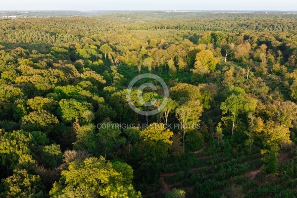 Forêt domaniale de Dourdan 91 vue du ciel
