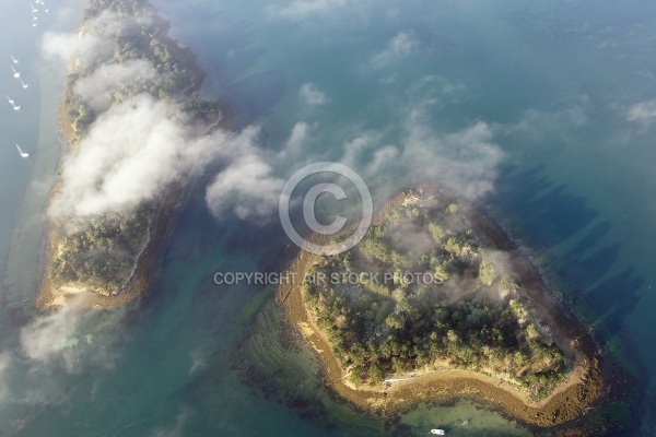 L îles Radenec et l île Longue , Golfe du Morbihan 56