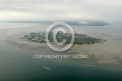 Lîle aux Oiseaux, bassin d Arcachon, Gironde, 33,  Aquitaine