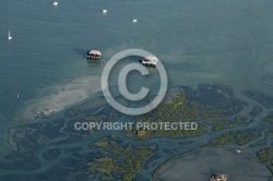 Lîle aux oiseaux, cabanes tchanquées vue du ciel