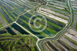 Marais salants de la Vie vue du ciel