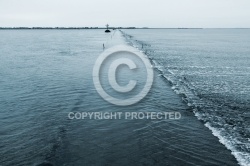 Passage du Gois en début de marée basse