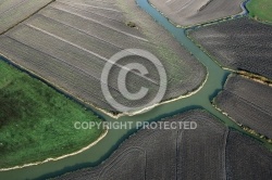 Photo aérienne marais du Pays de Monts , vendée 85