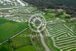 Photo aérienne Marais du Veillon , Vendée