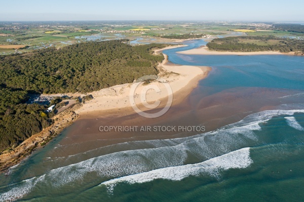 Plage du veillon , Talmont-Saint-Hilaire vue du ciel