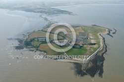 vue aérienne de l Île Madame , Charente-Maritime 17