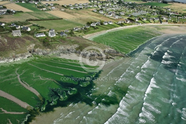 Algues vertes à Plomodiern, Baie de Douarnenez