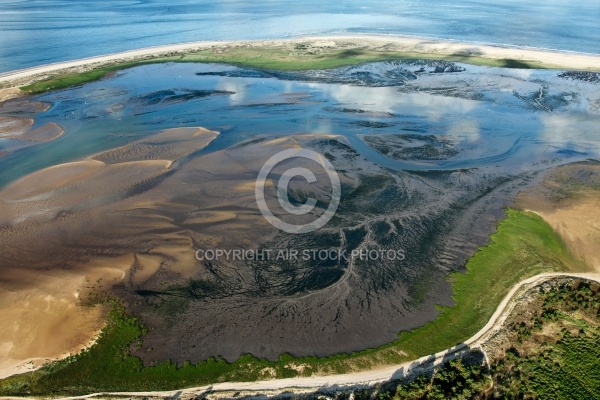 Anse de la Palmyre vue du ciel