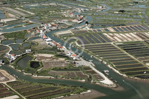 Arvert et la Seudre  vue du ciel