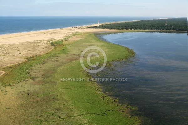 Baie de la bonne Anse - La Palmyre-Les Mathes