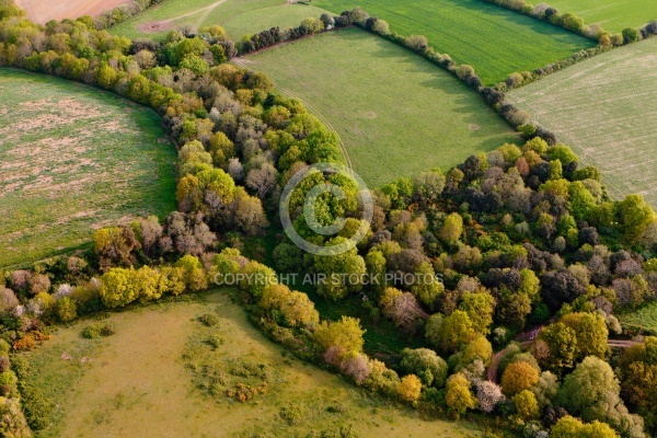 Bocage de Talmont-Saint-Hilaire vue du ciel