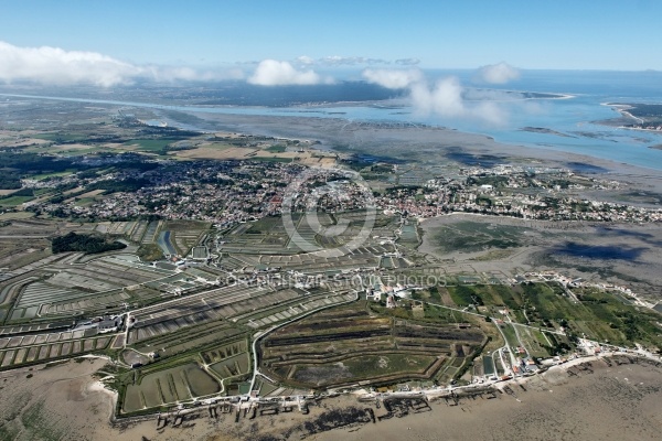 Bourcefranc-le-Chapus vue du ciel