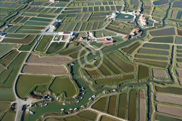 Cabanes Ostréicole Les Grandes Roches, 17750 Etaules, Pays Royan