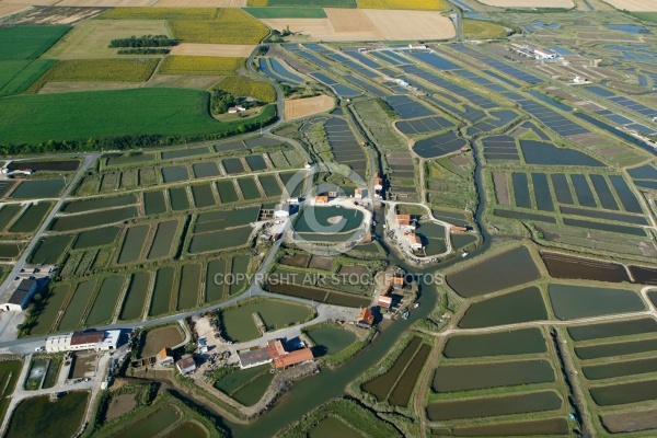 Cabanes Ostréicole Les Grandes Roches, 17750 Etaules, Pays Royan