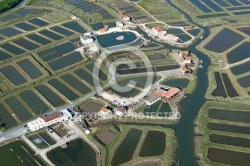 Cabanes ostréicoles Les Grandes Roches, 17750 Etaules, Charente-