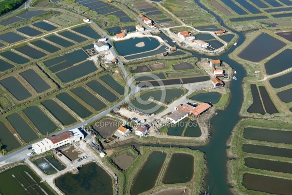 Cabanes ostréicoles Les Grandes Roches, 17750 Etaules, Charente-