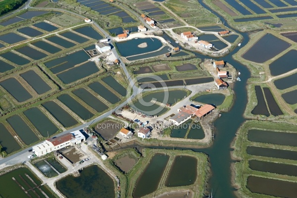 Cabanes ostréicoles Les Grandes Roches, 17750 Etaules, Charente-