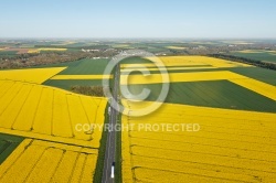 Champs de colza en Beauce vue du ciel