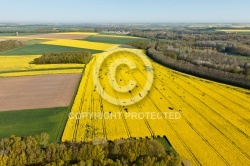 Champs de colza en Beauce vue du ciel