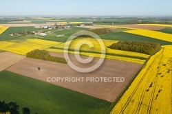 Champs de colza en Beauce vue du ciel