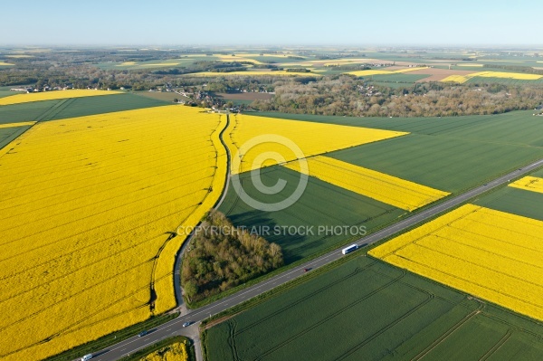 Champs de colza en Beauce vue du ciel