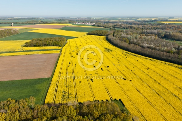 Champs de colza en Beauce vue du ciel