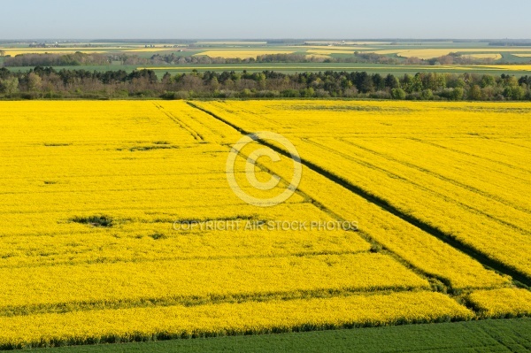 Champs de colza en Eure-et-Loir vue du ciel