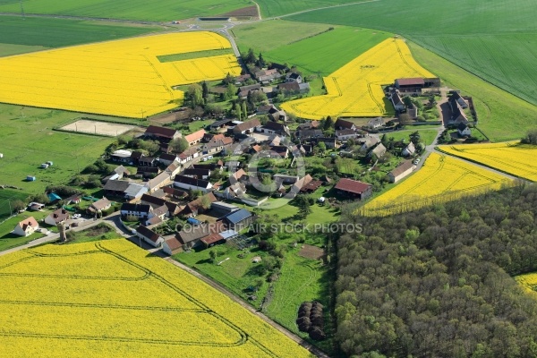 Champs de colza vue aérienne Champs de colza vue aérienne