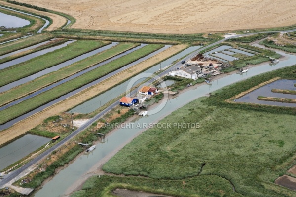 Chenal de Brouage - Charente Maritime 17