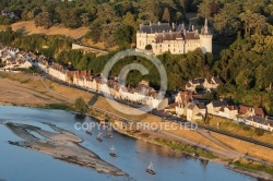 Château de Chaumont sur Loire  41