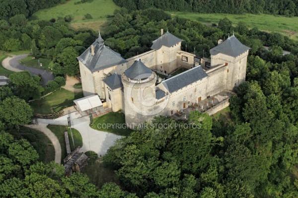 ChÃ¢teau de Malbrouck vue du ciel, Moselle 57