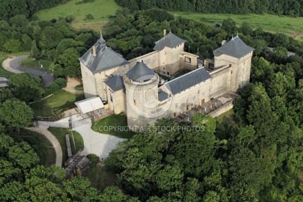 ChÃ¢teau de Malbrouck vue du ciel, Moselle 57