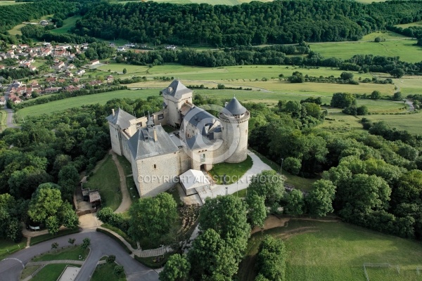 ChÃ¢teau de Malbrouck vue du ciel, Moselle 57