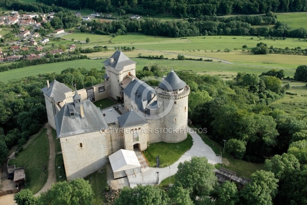 ChÃ¢teau de Malbrouck vue du ciel, Moselle 57