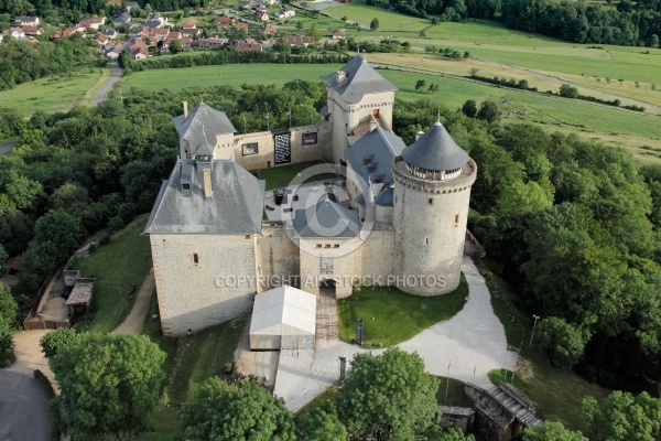 Château de Malbrouck vue du ciel, Moselle 57 Château de Malbrouck vue du ciel, Moselle 57
