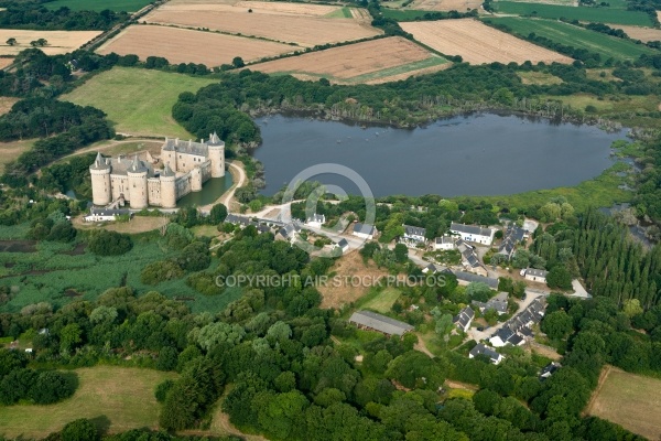 Château de Suscinio vue du ciel