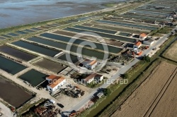 Claires de Port-des-Barques  et Saint-Froult