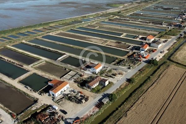 Claires de Port-des-Barques  et Saint-Froult