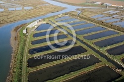 Claires à Huitres,  Polder de la Prise, Barre-de-Monts ,  vendée