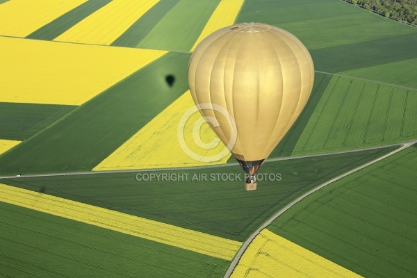 colza en MontgolfiÃ¨re