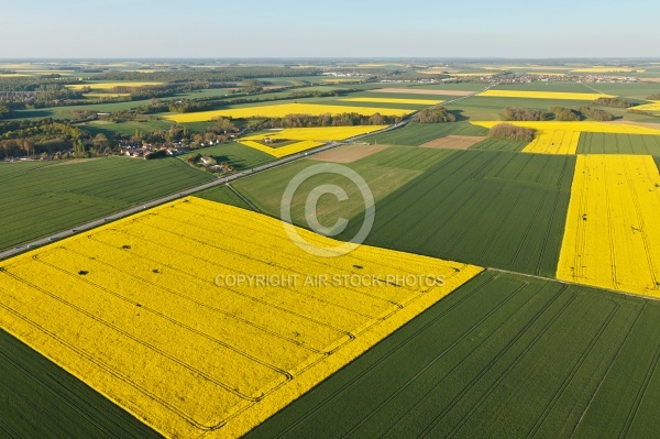 Colza Prunay-en-Yvelines vue du ciel