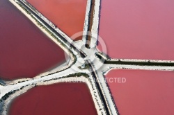 Couleurs des marais salants de Camargue