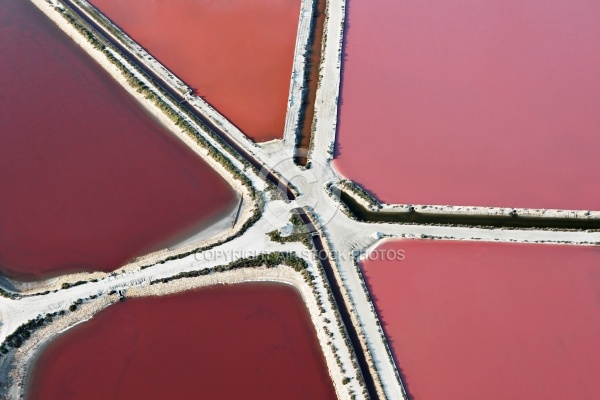 Couleurs des marais salants de Camargue