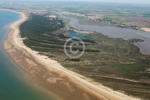 Côte de  la Pointe d Arçais, La faute-sur-Mer, Vendée