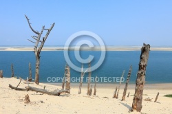 Dune du Pilat, Pyla-sur-mer