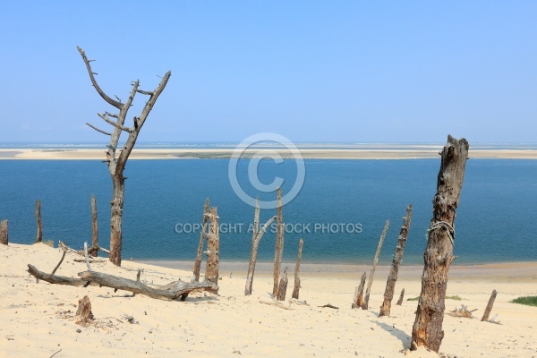 Dune du Pilat, Pyla-sur-mer