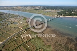 Embouchure de la seudre, Charente Maritime 17