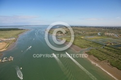 Embouchure de la seudre, Charente Maritime 17