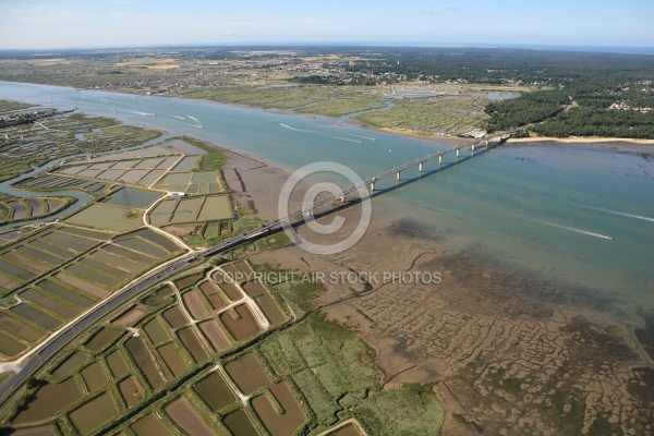Embouchure de la seudre, Charente Maritime 17