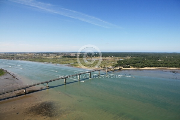 Embouchure de la seudre, Charente Maritime 17